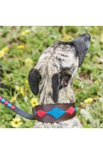 2022 Weatherbeeta Lurcher Polo Leather Dog Collar 1001704003 - Brown / Pink / Blue
